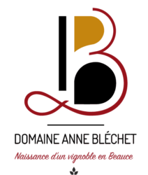 Logo Domaine Anne Bléchet