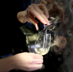 Dégustation vin Loiret